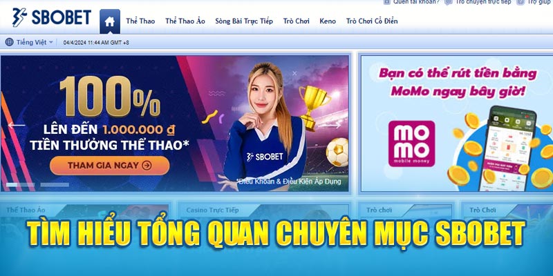 Tìm hiểu tổng quan chuyên mục Sbobet