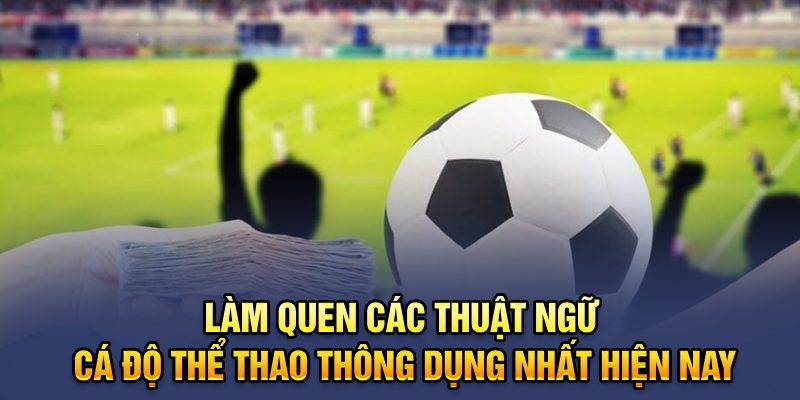 Làm quen các thuật ngữ cá độ thể thao thông dụng nhất hiện nay