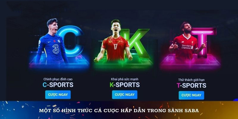 Một số hình thức cá cược hấp dẫn trong sảnh Saba