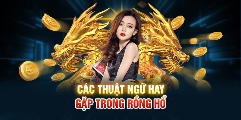 Các thuật ngữ hay gặp trong Rồng Hổ